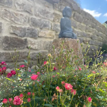 Petite Lavande Ravensbourg