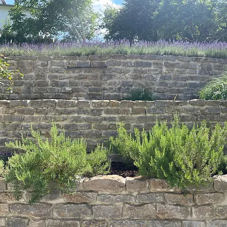 Petite Lavande Appartement