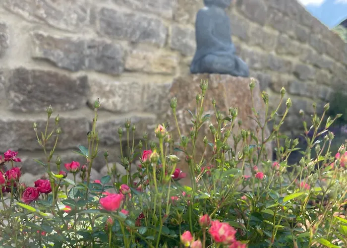 Petite Lavande Ravensburg